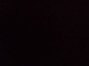 Meet your Posher, Shishir